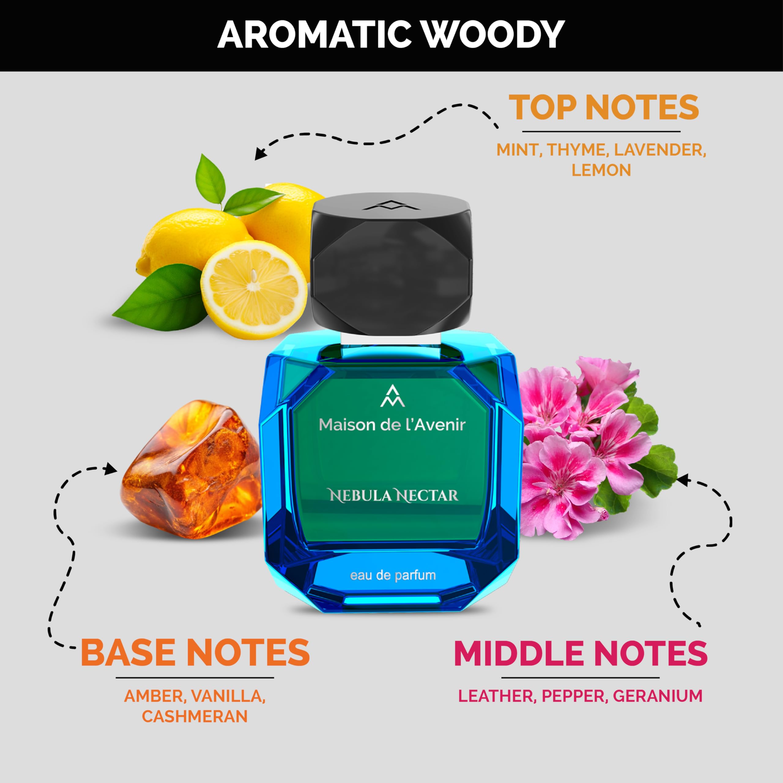 Amazon.com : Maison de l'Avenir Nebula Nectar | Aromatic Woody